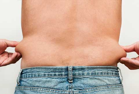 Love Handles